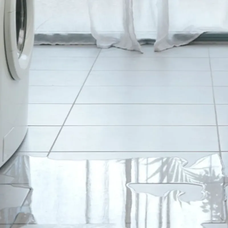 Appliance Leak Cleanup in Durham, CA