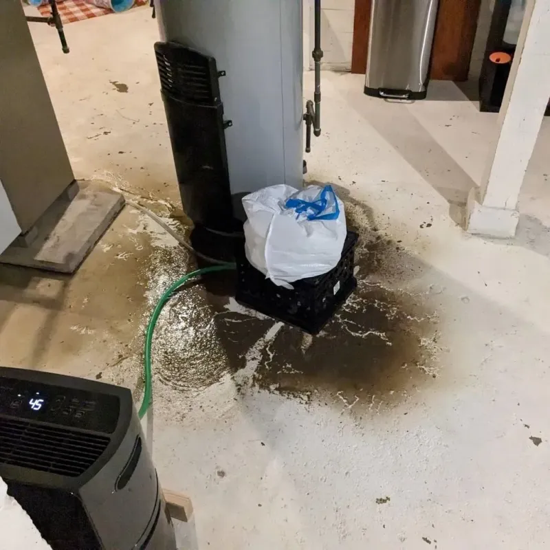 Sewage Backup Cleanup Service in Durham, CA